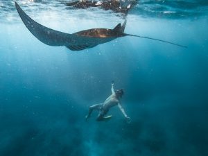 Bali tour package